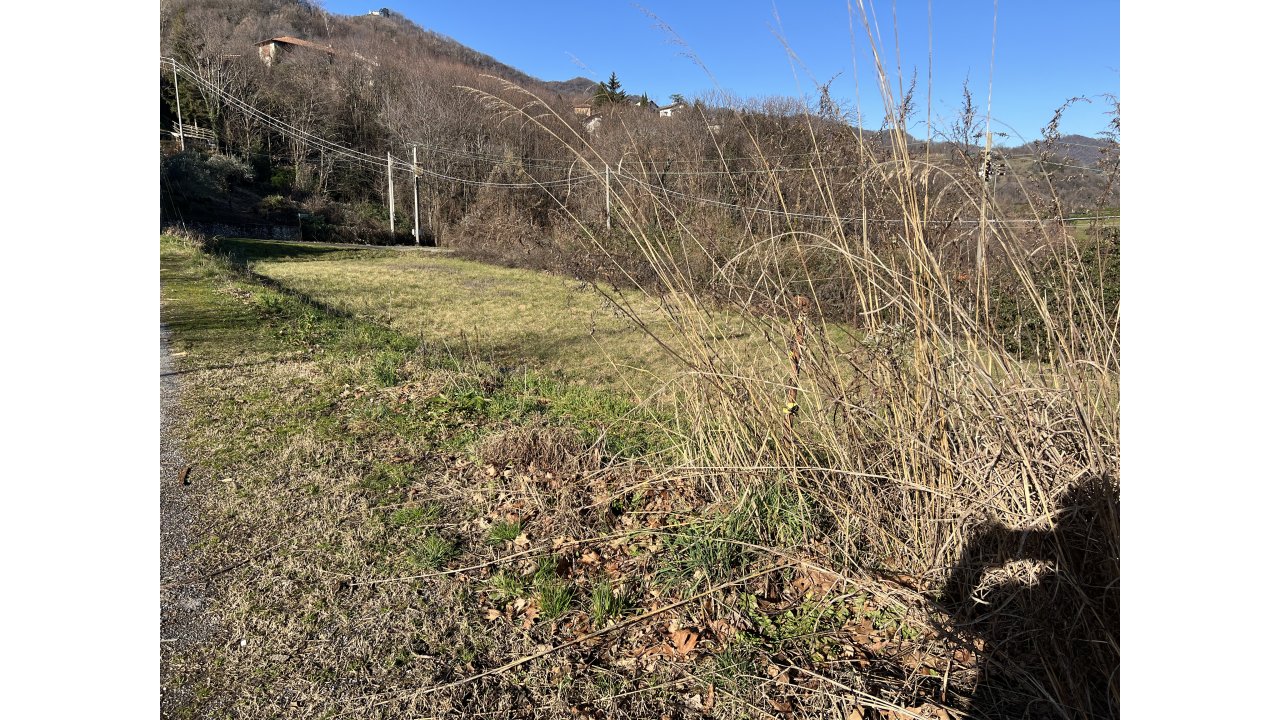 TERRENO AGRICOLO