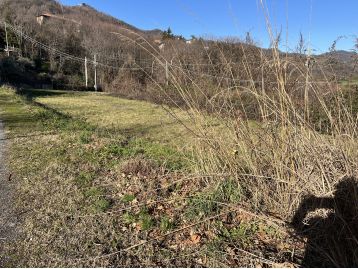 TERRENO AGRICOLO